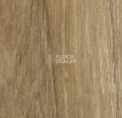 Кварцвиниловые полы Forbo Effekta Professional 0.45 4114 P Classic Authentic Oak PRO фото 1 | FLOORDEALER